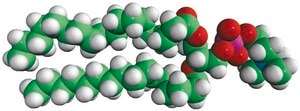 18:0-16:0 PC 1-stearoyl-2-palmitoyl-sn-glycero-3-phosphocholine, powder