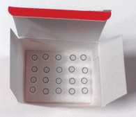 STEADY Chemically Competent Cells for plasmid production using unstable DNA
