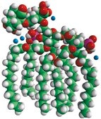 Kdo2-Lipid A (KLA) Avanti Research™ - A Croda Brand