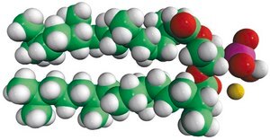 4ME 16:0 PA 1,2-diphytanoyl-sn-glycero-3-phosphate (sodium salt), powder