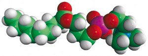 09:0 Lyso PC 1-nonanoyl-2-hydroxy-sn-glycero-3-phosphocholine, powder