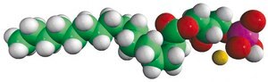 16:0 Lyso PA Avanti Research™ - A Croda Brand