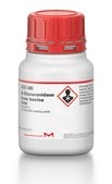 β-Glucuronidase from bovine liver Type B-1, ≥1,000,000 units/g solid