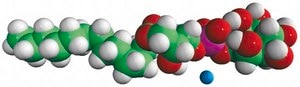 13:0 Lyso PI 1-tridecanoyl-2-hydroxy-sn-glycero-3-phospho-(1′-myo-inositol) (ammonium salt), powder