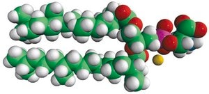 4ME 16:0 PS 1,2-diphytanoyl-sn-glycero-3-phospho-L-serine (sodium salt), chloroform