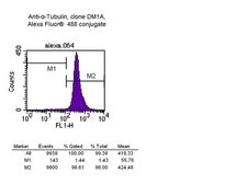 Anti-α-Tubulin Antibody, clone DM1A, Alexa Fluor™ 488 conjugate clone DM1A, Upstate®, from mouse