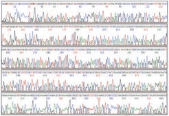 GenElute™ Plasmid Miniprep Kit sufficient for 70 purifications
