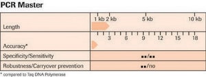PCRマスター (50 μl final reaction volume each containing 2.5 U Taq DNA-Polymerase), sufficient for 200 reactions, kit of 1 (2 components), suitable for PCR