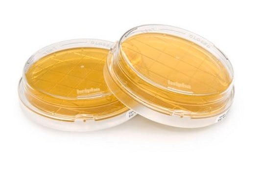 Tryptic Soy Agar - Ready-to-use Contact Plates Tween&#174;, Sodium Thiosulfate, Lecithin, Histidine, lid, ICR Plus: lockable, plate diam. 55&#160;mm, irradiated, triple packed of 10&#160;plates, suitable for surface monitoring