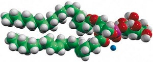 18:0-20:4 PI Avanti Research™ - A Croda Brand