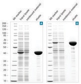 cOmplete™ His-タグ精製樹脂 suspension, suitable for protein purification, matrix Sepharose-CL 6B
