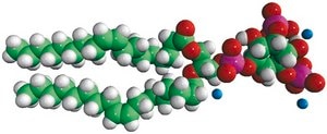 18:1 PI(3,5)P2 Avanti Research™ - A Croda Brand