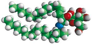 Cerebrosides (Brain) Avanti Research™ - A Croda Brand