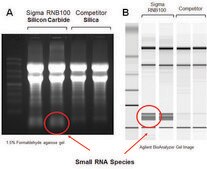 GenElute™ Total RNA Purification Kit