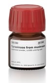 Tyrosinase from mushroom lyophilized powder, ≥1000 unit/mg solid