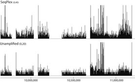 SeqPlex DNA Amplification Kit For use with high throughput sequencing technologies, Whole Genome Amplification kit designed to facilitate Next Gen Sequencing.