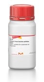 コラーゲン from bovine achilles tendon powder, suitable for substrate for collagenase