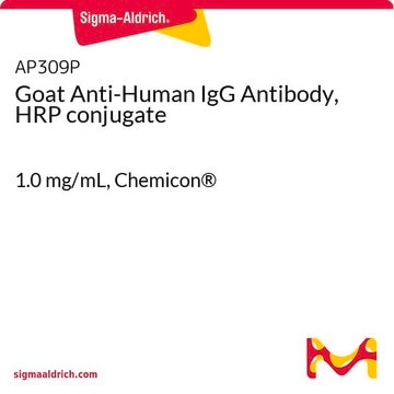 Goat Anti-Human IgG Antibody, HRP conjugate 1.0 mg/mL, Chemicon®
