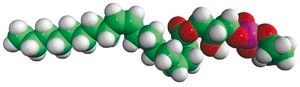 18:1 Lyso PE 1-oleoyl-2-hydroxy-sn-glycero-3-phosphoethanolamine, chloroform