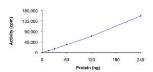 ULK1 (1-649), active, GST tagged human PRECISIO® Kinase, recombinant, expressed in baculovirus infected Sf9 cells, ≥70% (SDS-PAGE), buffered aqueous glycerol solution