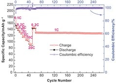 Lithium hexafluorophosphate solution in dimethyl carbonate, 1.0 M LiPF6 in DMC, battery grade