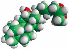 trihydroxycholestanoic acid Avanti Research™ - A Croda Brand