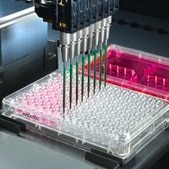 Millicell® 96 well Plates receiver plate, lid, teardrop shaped wells for pipette access, sterile, non-treated surface, automation compatible