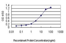 Monoclonal Anti-RAPGEF2 antibody produced in mouse clone 1E8, purified immunoglobulin, buffered aqueous solution