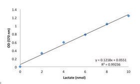 乳酸アッセイキット sufficient for 100 colorimetric&nbsp;or&nbsp;fluorometric&nbsp;tests
