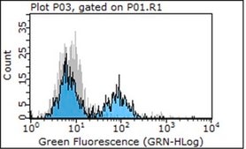 Anti-Integrin β1 Antibody, clone P5D2 (Azide Free)| MAB1959 clone P5D2, Chemicon®, from mouse
