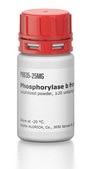 Phosphorylase b from rabbit muscle lyophilized powder, ≥20 units/mg protein, 2× crystallization