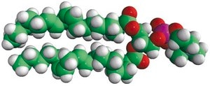 18:2 (Cis) PC (DLPC) Avanti Research™ - A Croda Brand