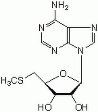 5′-Deoxy-5′-methylthioadenosine A cell-permeable, reversible, and ATP-competitive naturally-occurring co-product of polyamine biosynthesis that acts as an endogenous substrate of methylthioadenosine phosphorylase (MTAP).