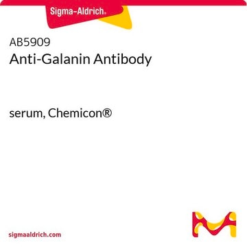 Anti-Galanin Antibody serum, Chemicon®