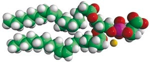 18:1 PS (DOPS) Avanti Research™ - A Croda Brand