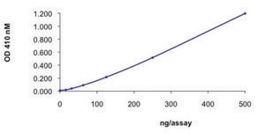 PTPN13 (2169-2485), active, GST tagged human recombinant, expressed in E. coli, ≥70% (SDS-PAGE), buffered aqueous glycerol solution