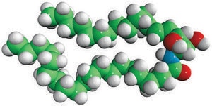 C20 Ceramide (d17:1/20:0) Avanti Research™ - A Croda Brand 860648P, powder