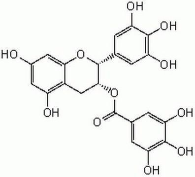 (–)-Epigallocatechin Gallate One of the main polyphenolic constituents of green tea that exhibits potent antitumor, anti-inflammatory, and antioxidant properties.