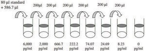 Human BMP-4 ELISA Kit for cell and tissue lysates