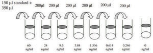 Human BMP-5 ELISA Kit for serum, plasma, cell culture supernatant and urine