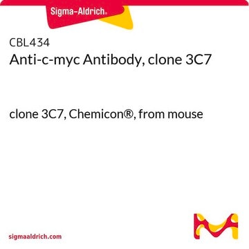 Anti-c-myc Antibody, clone 3C7 clone 3C7, Chemicon®, from mouse