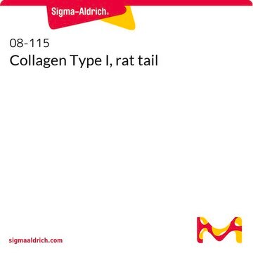 Collagen Type I, rat tail 100&#160;mg, solution, BioReagent, suitable for cell culture