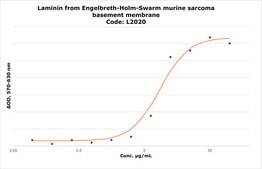 Laminin from Engelbreth-Holm-Swarm murine sarcoma basement membrane 1-2 mg/mL in Tris-buffered saline, 0.2 μm filtered, BioReagent, suitable for cell culture