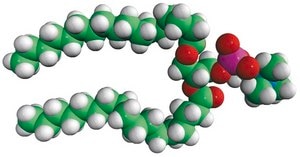 17:0 PC 1,2-diheptadecanoyl-sn-glycero-3-phosphocholine, chloroform