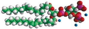 18:1 PI(3,4)P2 1,2-dioleoyl-sn-glycero-3-phospho-(1′-myo-inositol-3′,4′-bisphosphate) (ammonium salt), powder