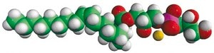 18:1 Lyso PG 1-oleoyl-2-hydroxy-sn-glycero-3-phospho-(1′-rac-glycerol) (sodium salt), chloroform