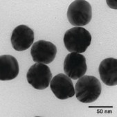 Silver nanospheres 50 nm avg. part. size, 0.02 mg/mL (in 2mM aqueous sodium citrate), citrate functionalized