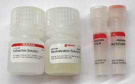Extract-N-Amp™ Seed PCR Kit sufficient for 100 extractions, sufficient for 100 amplifications