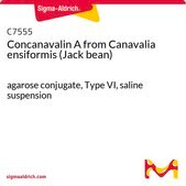 Concanavalin A from Canavalia ensiformis (Jack bean) agarose conjugate, Type VI, saline suspension