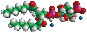 08:0 PI(4)P Avanti Research™ - A Croda Brand